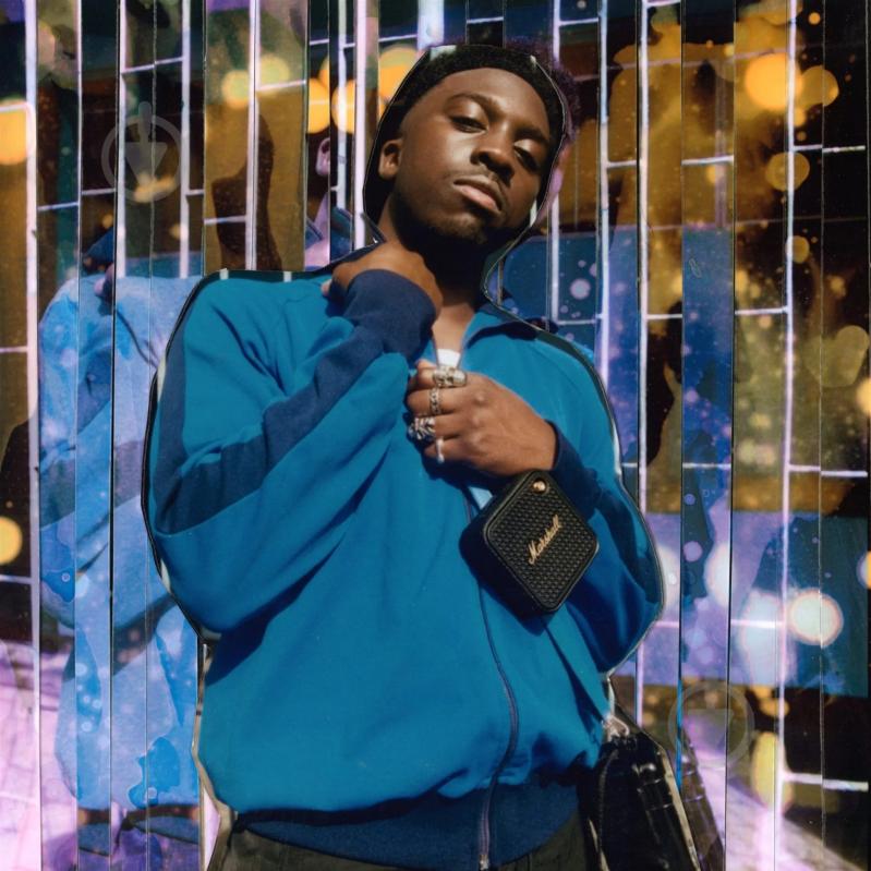 Акустическая система Marshall Willen II black/brass (1006714) - фото 8