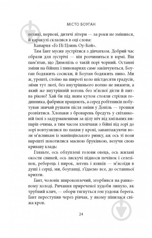 Книга Кевин Барри «Місто Боуган: Роман» - фото 19