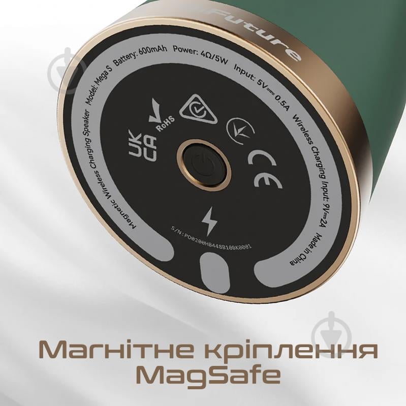 Акустическая система HiFuture Mega-S black (mega-s.black) - фото 4