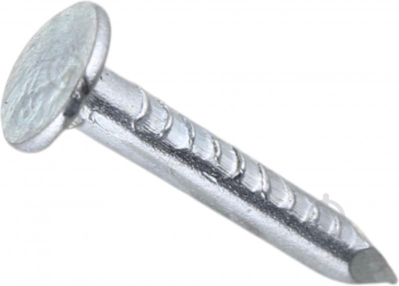 Цвяхи покрівельні 3,1x20 мм Expert Fix DIN 1160 1 кг білий цинк - фото 1