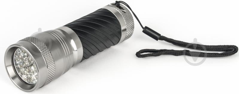 Ліхтар Expert Expert light EAX-ALFL015-14LED срібний/чорний - фото 1 Ліхтар Expert Expert light EAX-ALFL015-14LED срібний/чорний - фото 1