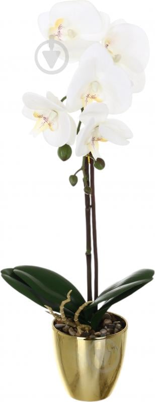 Цветок искусственный Орхидея Real Touch белая с желтой сердцевиной в горшочке 45 см - фото 1 Цветок искусственный Орхидея Real Touch белая с желтой сердцевиной в горшочке 45 см - фото 1