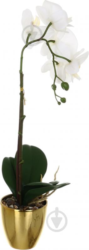 Цветок искусственный Орхидея Real Touch белая с желтой сердцевиной в горшочке 45 см - фото 2 Цветок искусственный Орхидея Real Touch белая с желтой сердцевиной в горшочке 45 см - фото 2