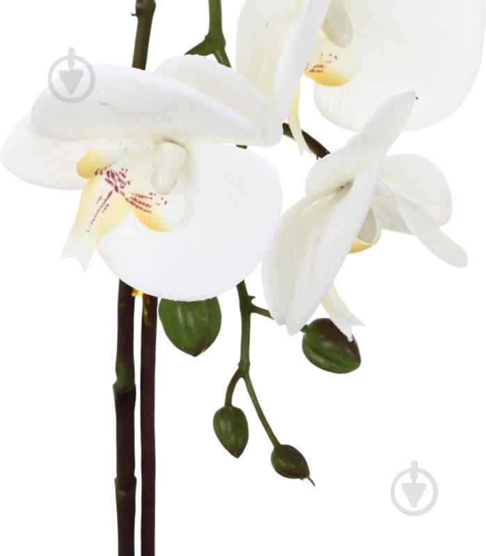 Цветок искусственный Орхидея Real Touch белая с желтой сердцевиной в горшочке 45 см - фото 3 Цветок искусственный Орхидея Real Touch белая с желтой сердцевиной в горшочке 45 см - фото 3