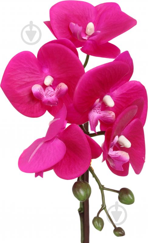 Цветок искусственный Орхидея розовая в серебряном пластиковом горшке 45 см - фото 2 Цветок искусственный Орхидея розовая в серебряном пластиковом горшке 45 см - фото 2