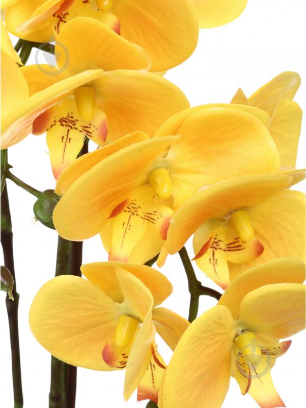 Цветок искусственный Орхидея желтая в золотом пластиковом горшке 62 см - фото 2 Цветок искусственный Орхидея желтая в золотом пластиковом горшке 62 см - фото 2