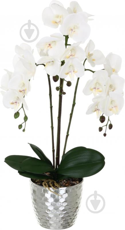 Цветок искусственный Орхидея Real Touch белая с желтой сердцевиной в горшочке 62см - фото 1
