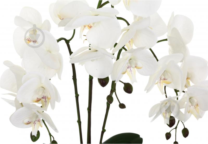 Цветок искусственный Орхидея Real Touch белая с желтой сердцевиной в горшочке 62см - фото 2