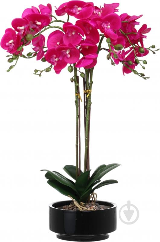 Цветок искусственный Орхидея розовая в черном керамическом горшке 62 см - фото 1 Цветок искусственный Орхидея розовая в черном керамическом горшке 62 см - фото 1