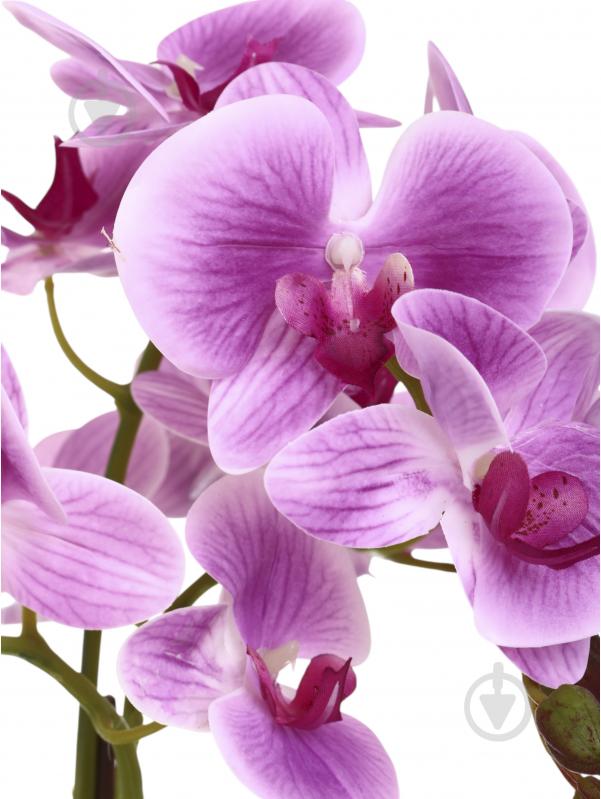 Цветок искусственный Орхидея фиолетовая в белом меламиновом горшке 76 см - фото 2 Цветок искусственный Орхидея фиолетовая в белом меламиновом горшке 76 см - фото 2