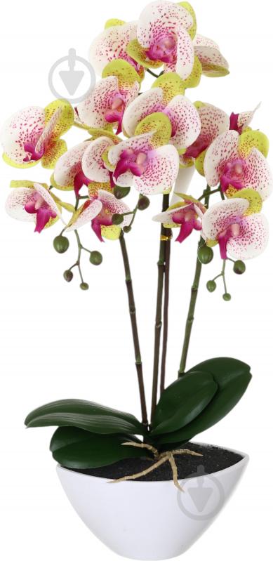 Цветок искусственный Орхидея Real Touch белая с розовой сердцевинкой в гощике 51 см - фото 1 Цветок искусственный Орхидея Real Touch белая с розовой сердцевинкой в гощике 51 см - фото 1