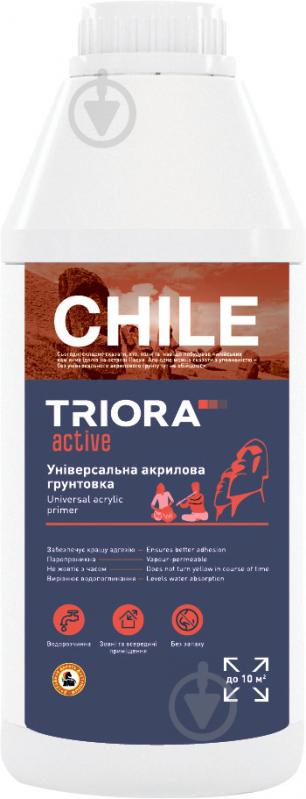 Грунтовка адгезионная Triora Chile 5 л - фото 1