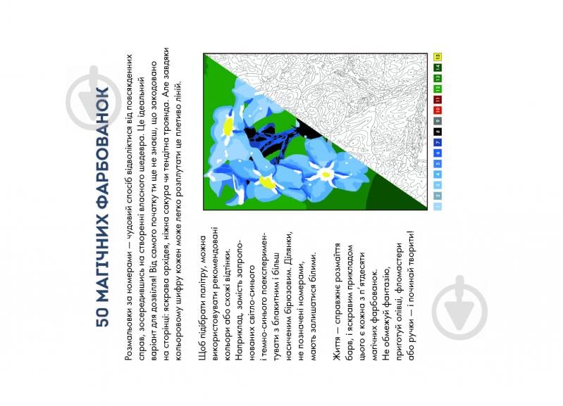Розмальовка за номерами «50 магічних фарбованок. Натхнення» 978-617-7853-83-0 - фото 4