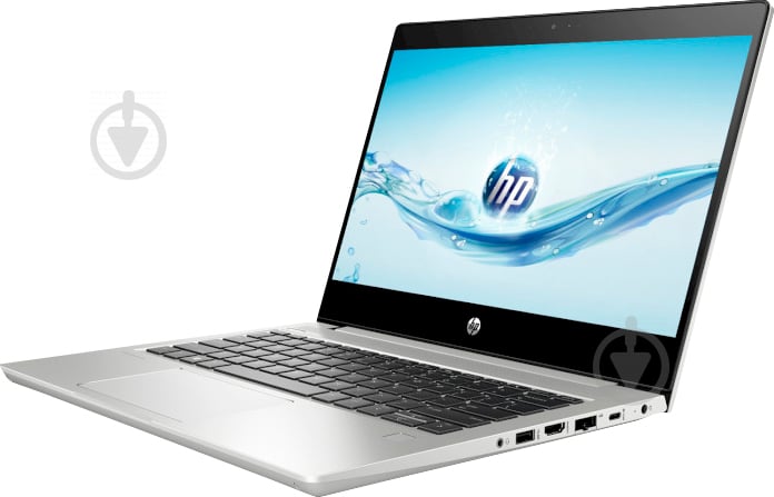 Ноутбук HP ProBook 430 G6 13,3 (4SP88AV_V21) silver - фото 2