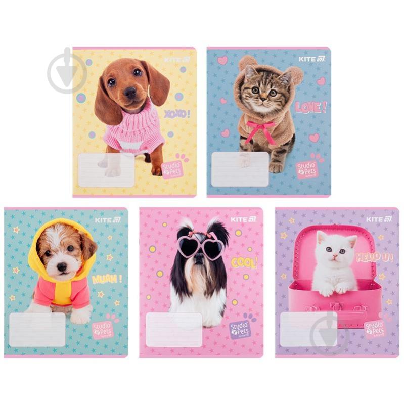 Тетрадь школьная 12 лист. линейка Studio Pets KITE - фото 1