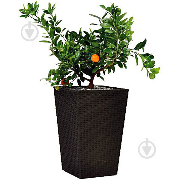 Горщик пластиковий Large Rattan Planter квадратний 145 л коричневий - фото 1