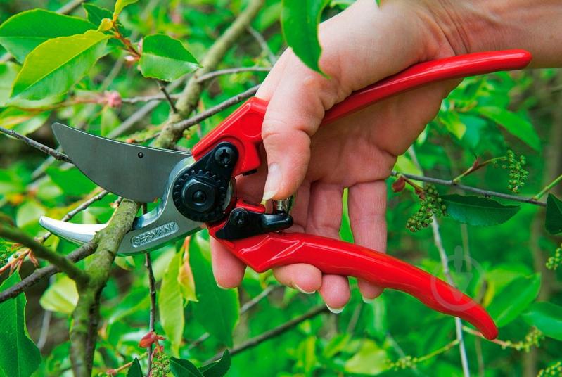 Секатор Berger 215 мм 1200 - фото 5 Секатор Berger 215 мм 1200 - фото 5