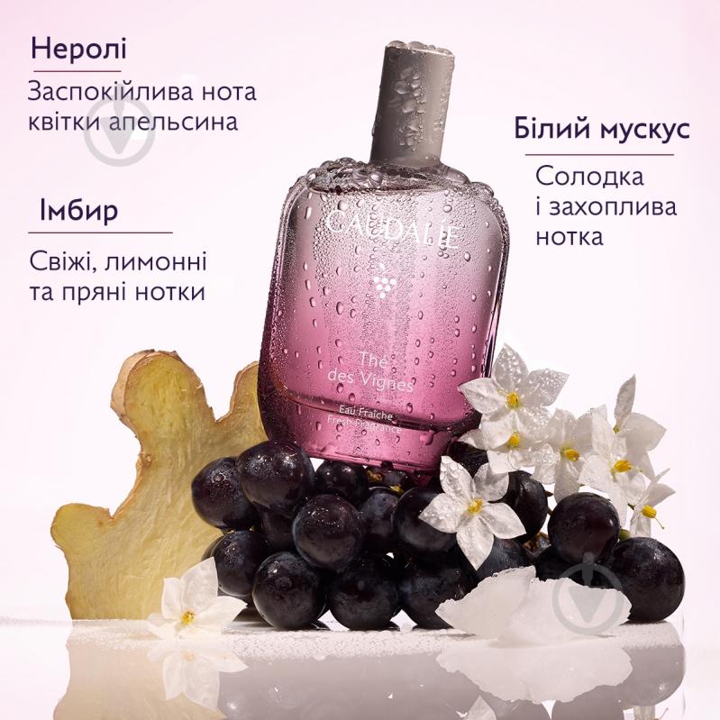 Туалетная вода Caudalie The des Vignes 50 мл - фото 2 Туалетная вода Caudalie The des Vignes 50 мл - фото 2