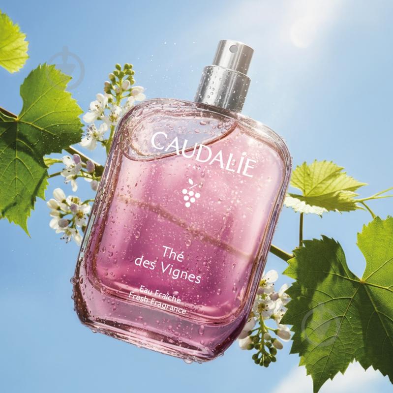 Туалетная вода Caudalie The des Vignes 50 мл - фото 3 Туалетная вода Caudalie The des Vignes 50 мл - фото 3