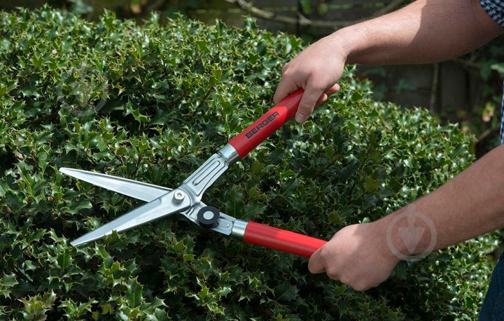 ᐉ Ножницы садовые Berger для стрижки кустов и самшита 2510 (80735 .