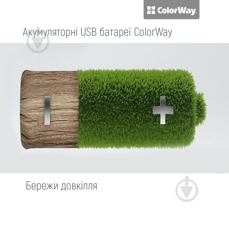 Батарея акумуляторна ColorWay USB-С 590 мАч 1.5В AAA (мізинчикові) 2 шт. (CW-UBAAA-09) - фото 12