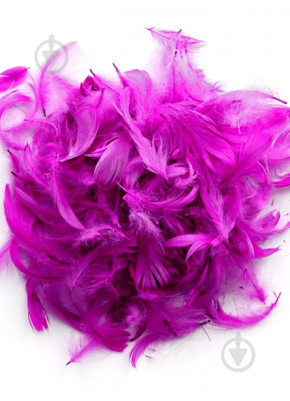 Наполнитель Перья 5889 - фото 1