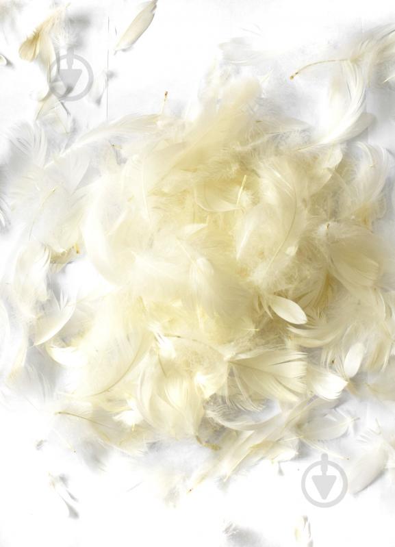 Наполнитель Перья 5919 - фото 1