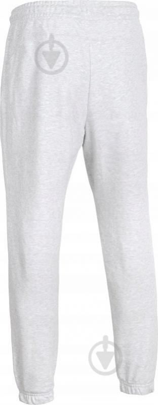 Брюки 4F 4FWMM00TTROM1673-27M р. 4XL серый - фото 5
