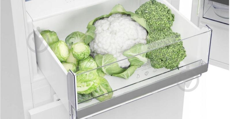 Холодильник Gorenje RK58DPS4 - фото 5 Холодильник Gorenje RK58DPS4 - фото 5