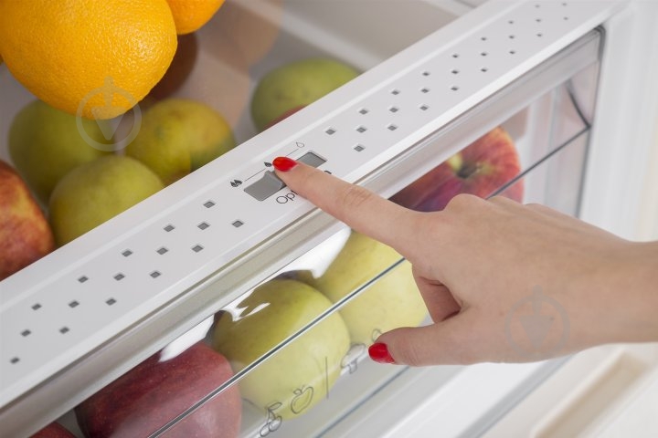 Холодильник Sharp SJ-BA10IMXB1-UA - фото 20