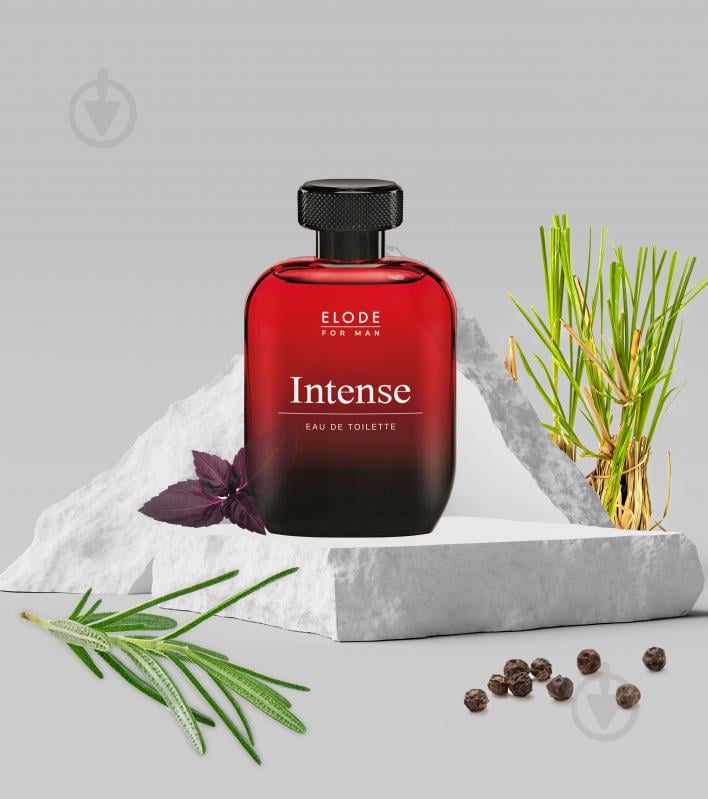 Туалетная вода Elode Elode Intense 100 мл - фото 3