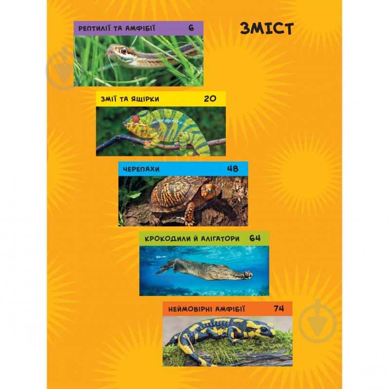 Книга подарункова Кетрін Х'юз «Енциклопедія National Geographic. Моя перша енциклопедія. Рептилії та амфібії» 9786171600799 - фото 5 Книга подарункова Кетрін Х'юз «Енциклопедія National Geographic. Моя перша енциклопедія. Рептилії та амфібії» 9786171600799 - фото 5