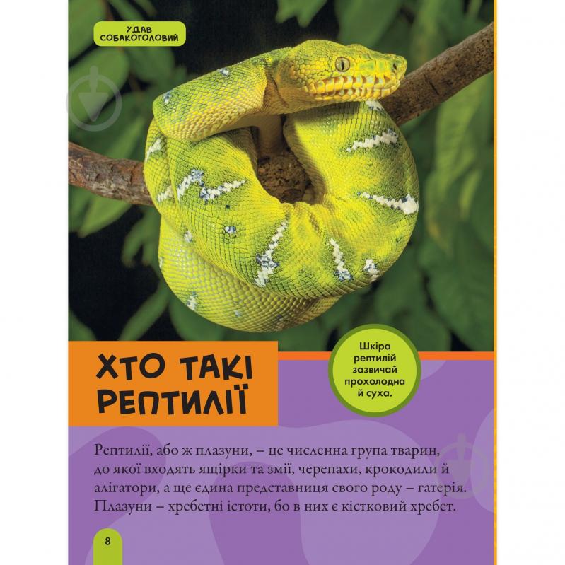 Книга подарункова Кетрін Х'юз «Енциклопедія National Geographic. Моя перша енциклопедія. Рептилії та амфібії» 9786171600799 - фото 4 Книга подарункова Кетрін Х'юз «Енциклопедія National Geographic. Моя перша енциклопедія. Рептилії та амфібії» 9786171600799 - фото 4