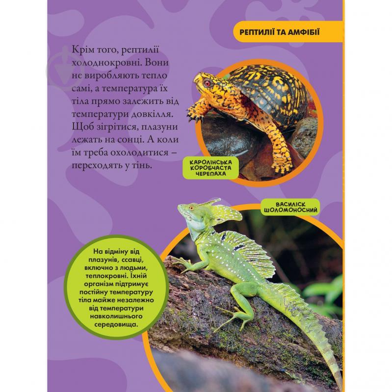 Книга подарункова Кетрін Х'юз «Енциклопедія National Geographic. Моя перша енциклопедія. Рептилії та амфібії» 9786171600799 - фото 3 Книга подарункова Кетрін Х'юз «Енциклопедія National Geographic. Моя перша енциклопедія. Рептилії та амфібії» 9786171600799 - фото 3
