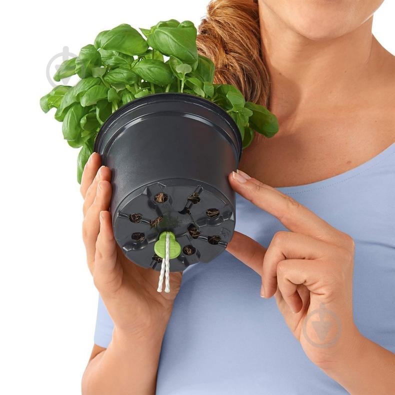 Фитиль Lechuza 19949 - фото 2