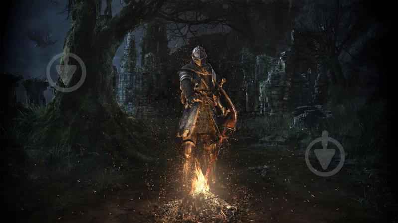 Игра NINTENDO Switch Dark Souls: Remastered картридж - фото 13 Игра NINTENDO Switch Dark Souls: Remastered картридж - фото 13