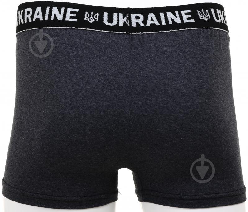 Трусы мужские мужские LOGOS-Tac Ukrainian01-02-00-0003 2XL grey - фото 2