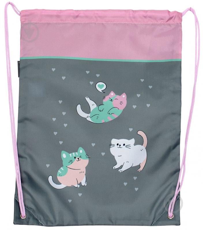 Сумка для обуви CLASS Cats 2602C - фото 1