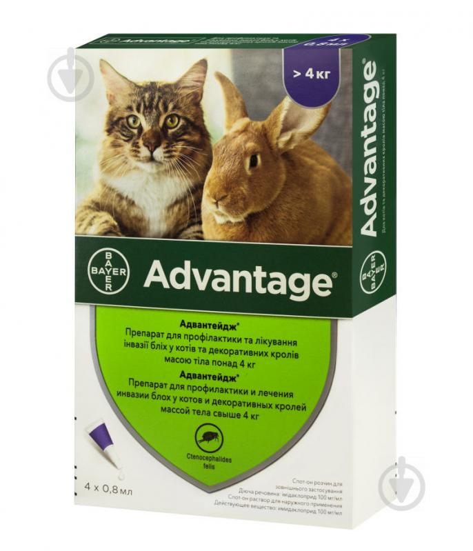 Краплі Bayer для котів та кроликів Advantage 80 від бліх 91001(за 1 п-тку, 4 в уп.) шт. 0,8 мл - фото 1