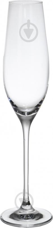 Набір бокалів для шампанського Amelia 210 мл 6 шт. Fiora - фото 1