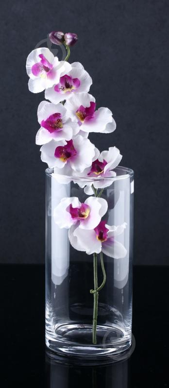 Ваза стеклянная 20х10 20 см прозрачная - фото 3