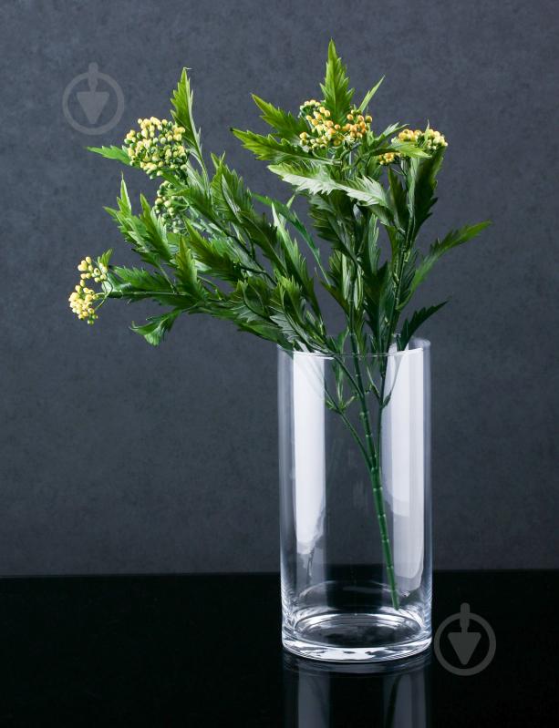 Ваза стеклянная Wrzesniak Glassworks 25х12,5 25 см прозрачная - фото 2
