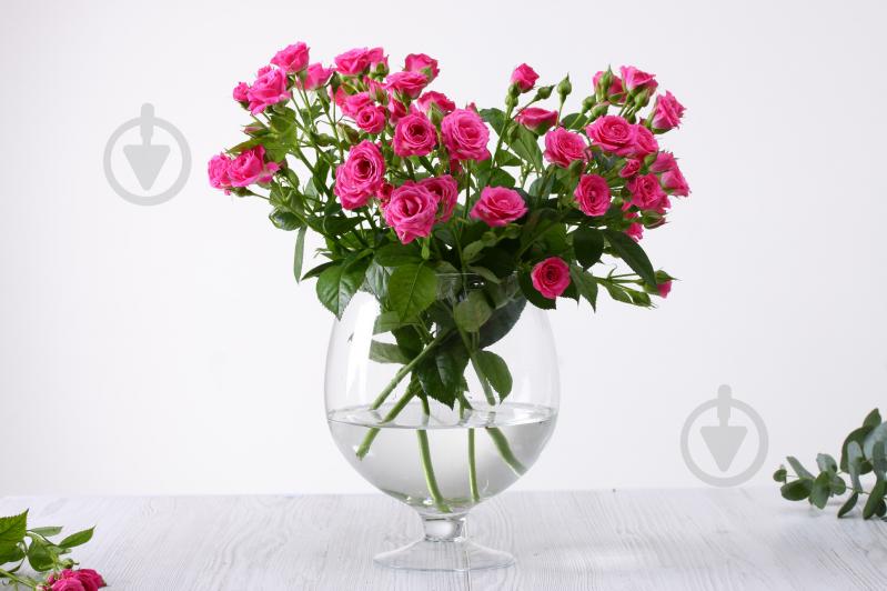 Ваза стеклянная коньячка 24 см 24 см прозрачная - фото 3 Ваза стеклянная коньячка 24 см 24 см прозрачная - фото 3