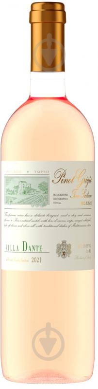 Вино Villa Dante розовое сухое Pinot Grigio IGT 12% 0,75 л - фото 1