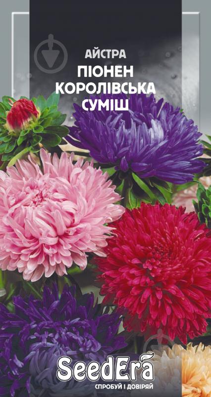 Суміш насіння SeedEra айстра високоросла Піонен королівський розмір 0,25 г (4823114400988) - фото 1
