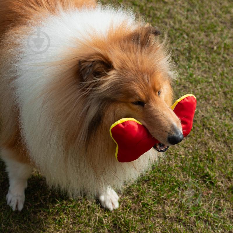 Игрушка для собак Fanny Animals Кость мягкая с пищалкой 20 см МС 160401-11 - фото 4 Игрушка для собак Fanny Animals Кость мягкая с пищалкой 20 см МС 160401-11 - фото 4