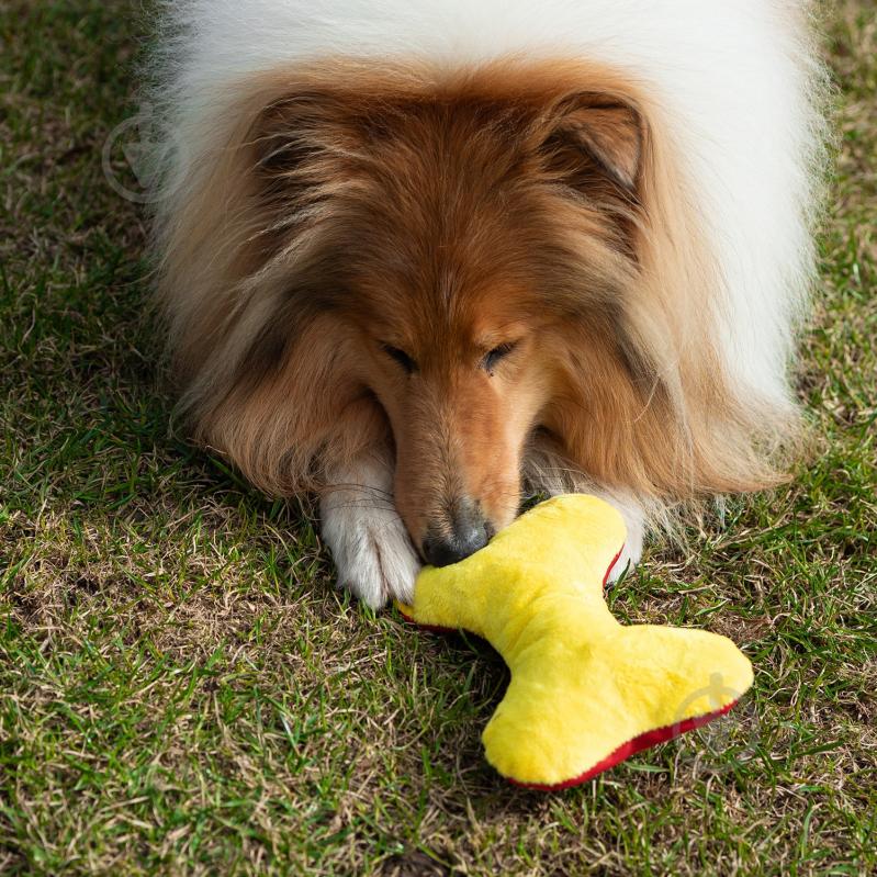 Игрушка для собак Fanny Animals Кость мягкая с пищалкой 20 см МС 160401-11 - фото 5 Игрушка для собак Fanny Animals Кость мягкая с пищалкой 20 см МС 160401-11 - фото 5