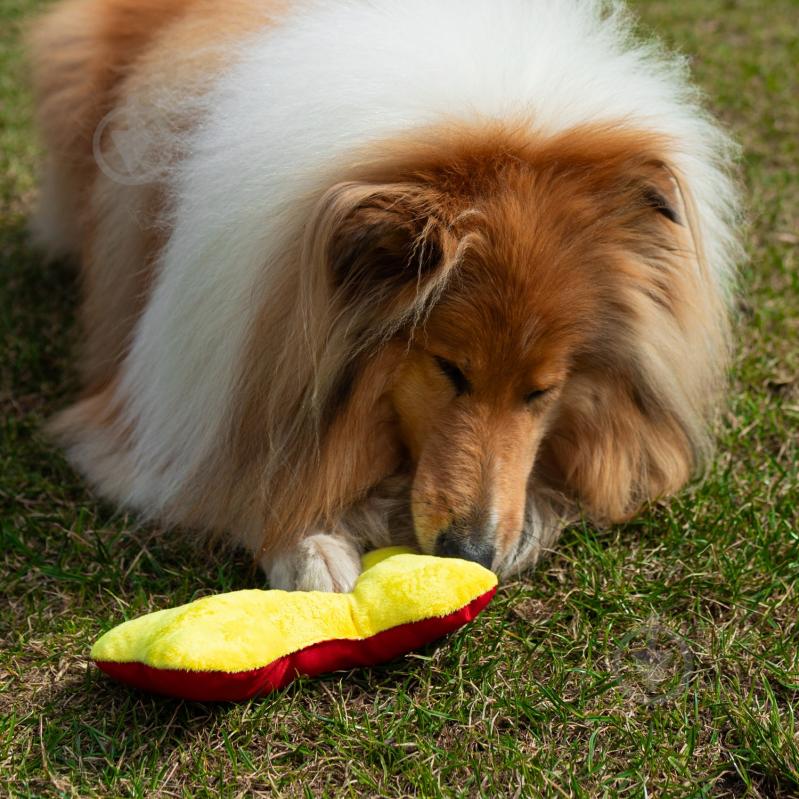 Игрушка для собак Fanny Animals Кость мягкая с пищалкой 20 см МС 160401-11 - фото 6 Игрушка для собак Fanny Animals Кость мягкая с пищалкой 20 см МС 160401-11 - фото 6