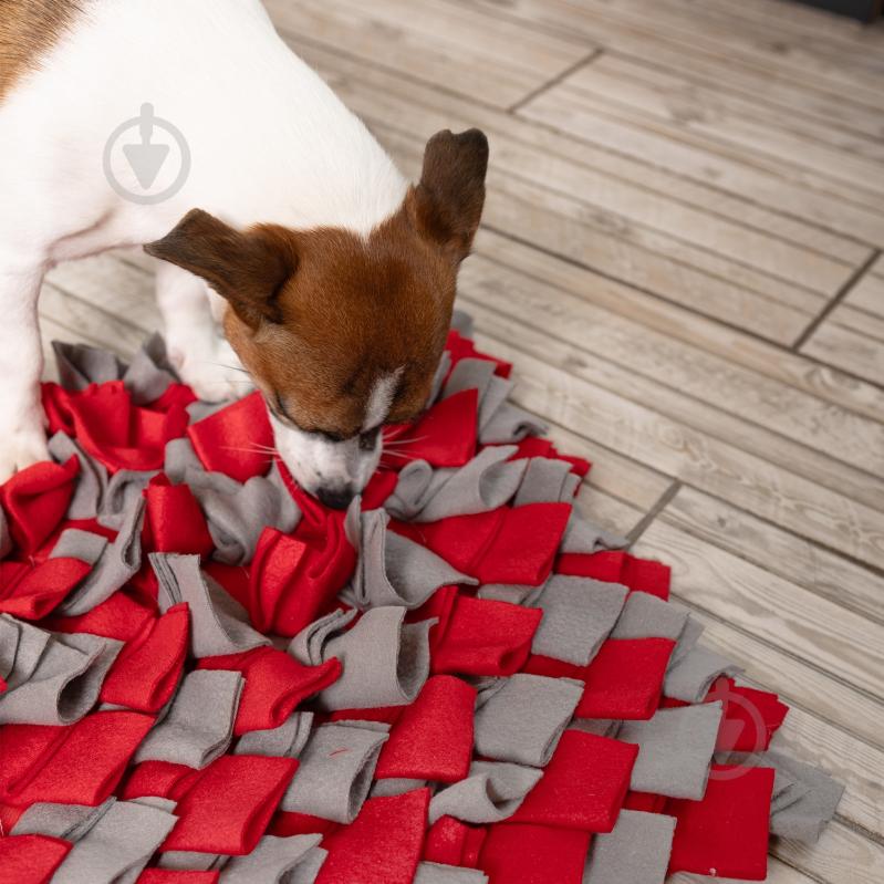 Нюхательный интерактивный коврик Fanny Animals квадратный МС 160401-02 - фото 5 Нюхательный интерактивный коврик Fanny Animals квадратный МС 160401-02 - фото 5