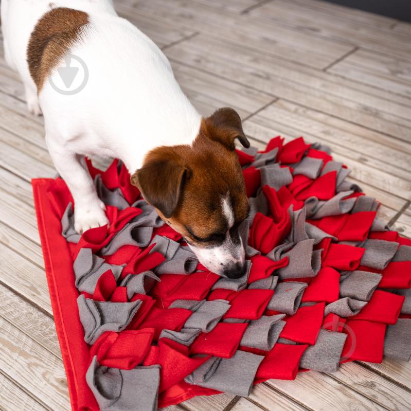 Нюхательный интерактивный коврик Fanny Animals квадратный МС 160401-02 - фото 3 Нюхательный интерактивный коврик Fanny Animals квадратный МС 160401-02 - фото 3